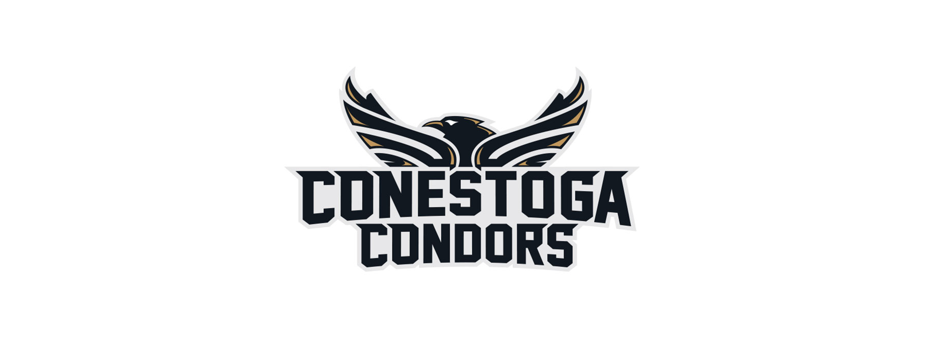 2018-19 Condors Women's Rugby 7's Roster