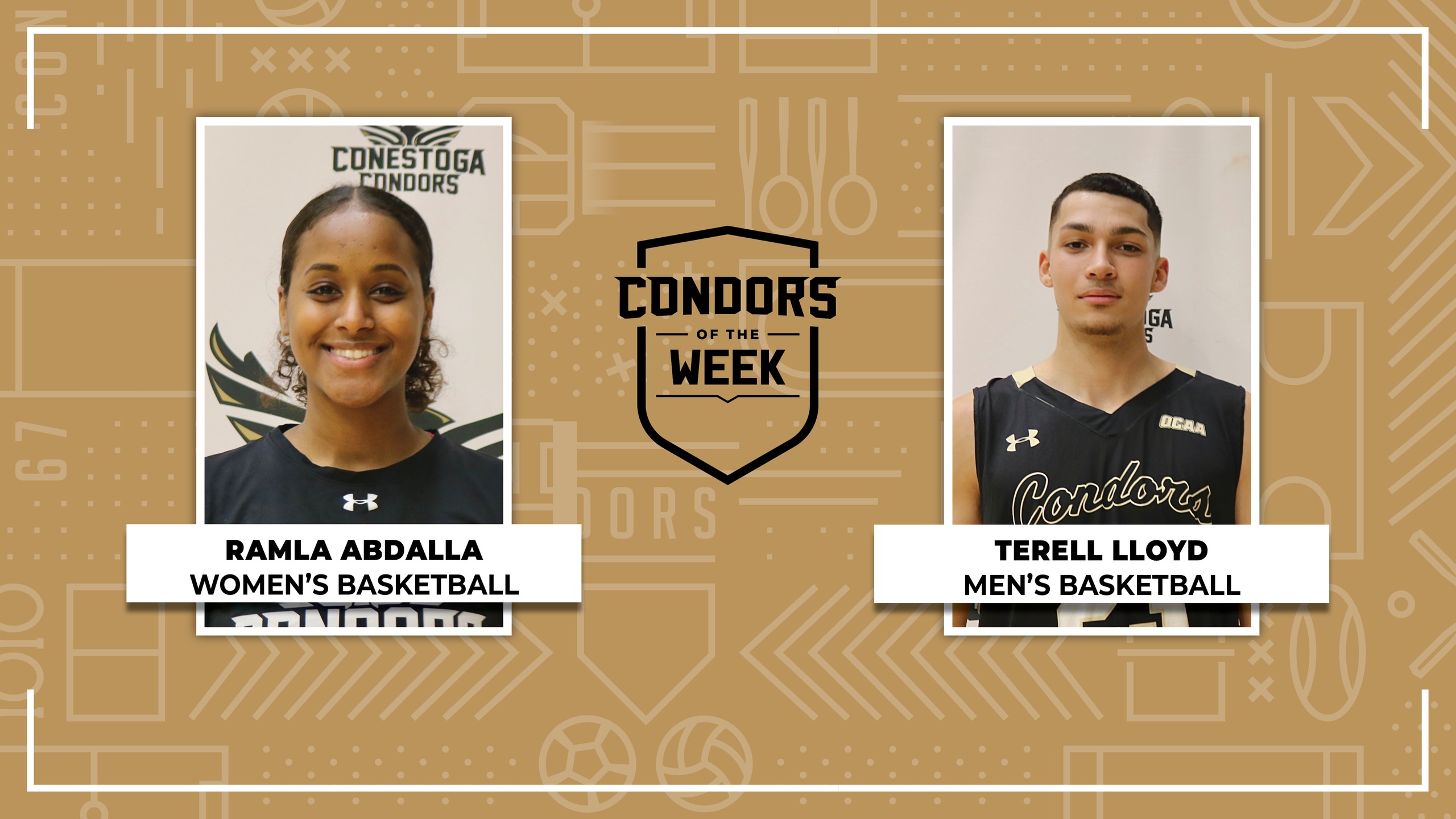 Condors Of The Week