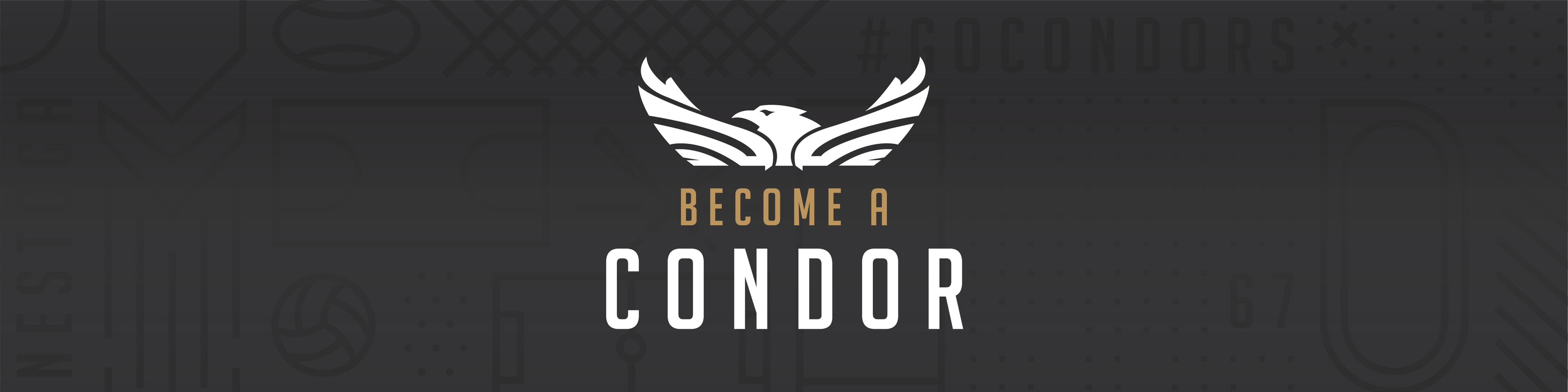 Become a Condor